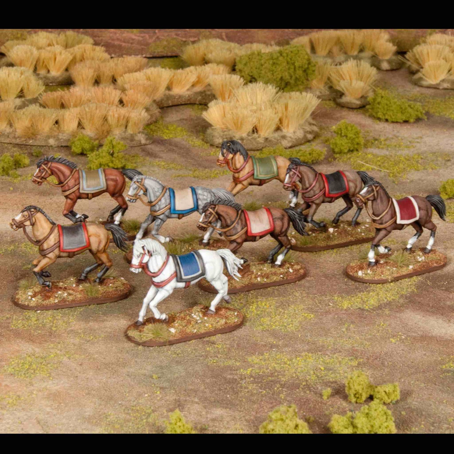 General Accoutrements - Horses